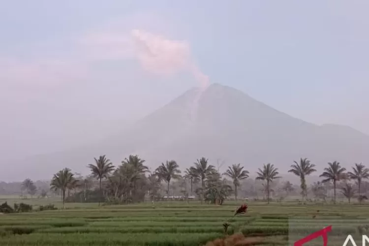 Gunung Semeru masih mengalami erupsi yang terlihat dari Desa Sumberwuluh, Kecamatan Candipuro, Kabupaten Lumajang, Senin (5/12/2022). ( ANTARA/VJ Hamka Agung Balya)