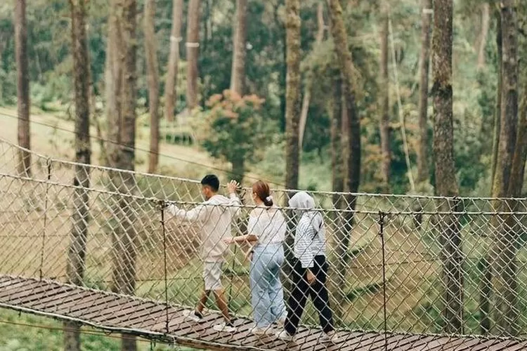 Orchid Forest Cikole, rekomendasi tempat wisata jembatan gantung di Lembang Bandung. (instagram.com/@orchidforestcikole)
