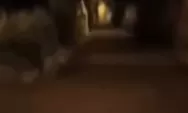 Viral Sosok Pocong Diam Berdiri di Pinggir Jalan Bogor Selatan Tertangkap Video Kamera