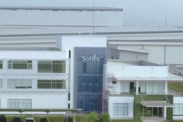 Info Loker Tangerang Terbaru PT Softex Indonesia 