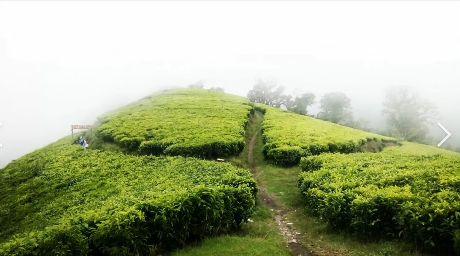Kawasan wisata puncak Sakub dikeliling perkebunan teh dan kabut (Blogger Bumiayu.net)
