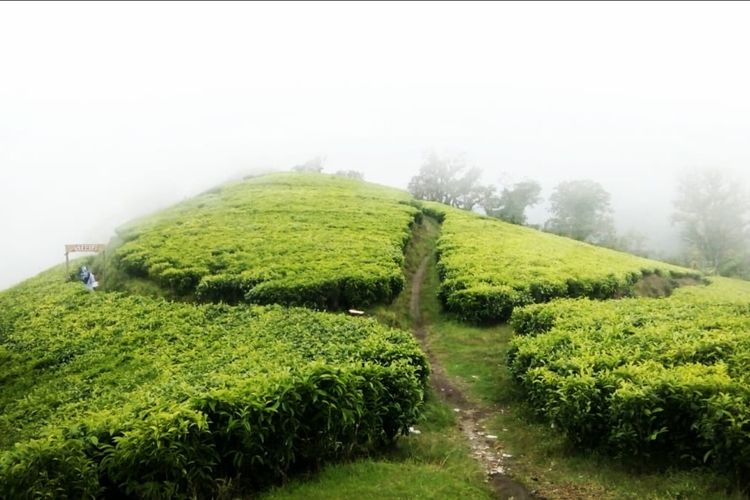 Incar Spot Instagramable, Wisata Ke Puncak Sakub Tak Kalah Indahnya Dari Bukit Teletubbies Gunung Bromo