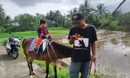 Wisata Menantang dan Murah Meriah di Salatiga: Naik Kuda Keliling Persawahan Cuma Bayar Rp 20 Ribu