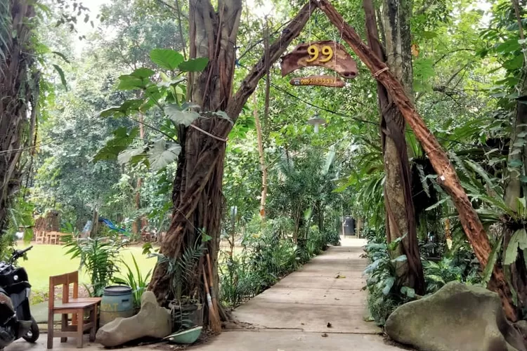 Kampung 99 Pepohonan, salah satu tempat wisata edukasi keren yang cocok buat anak-anak Depok.