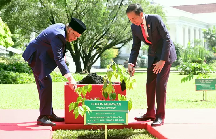 Momen Presiden Joko Widodo dan PM Malaysia Anwar Ibrahim saat menanam pohon disela-sela pertemuan dua pimpinan tertinggi masing-masing negara tersebut di Istana Kepresidenan Bogor, Jawa Barat, Senin (9/1/2023).