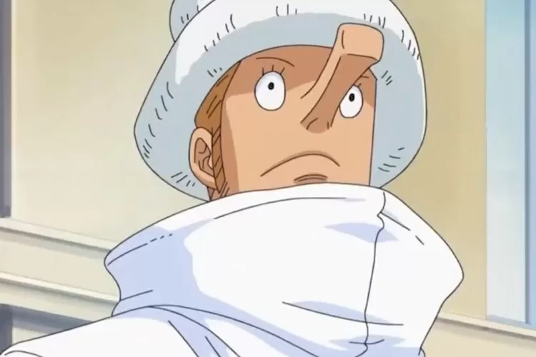 Ilustrasi Review One Piece (Tangkap Layar YouTube Torao Kun)