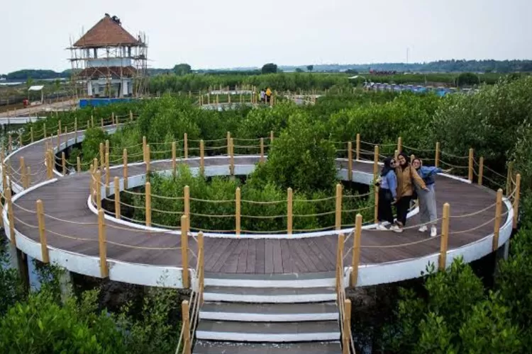 Ketapang Urban Aquaculture wisata di Kabupaten Tangerang 