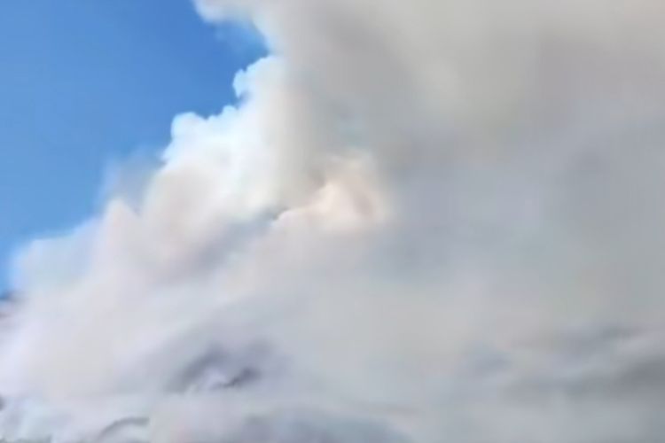 Hutan Gunung Lawu Terbakar, Warga Percayai Musim Hujan Segera Tiba